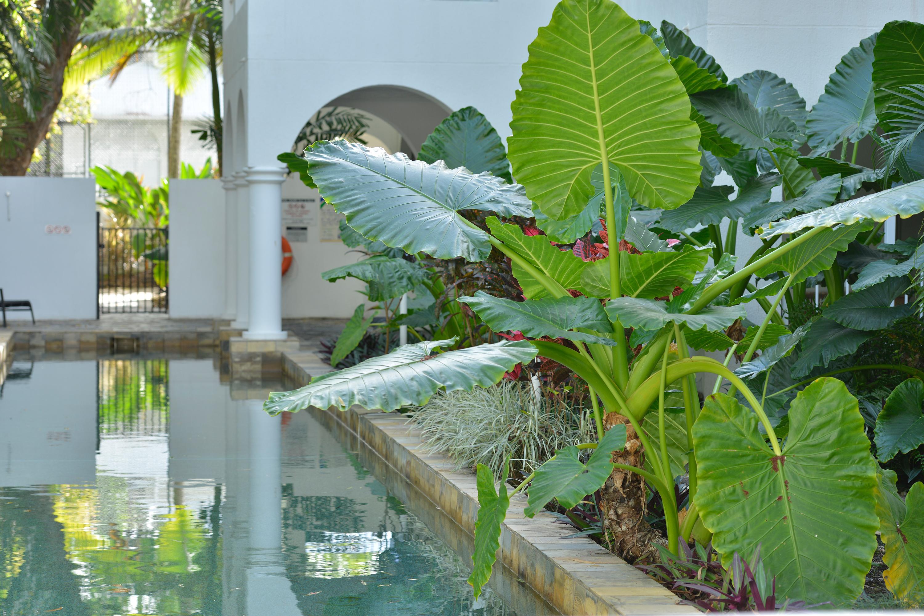 Mantra Portsea Hotel Port Douglas Buitenkant foto